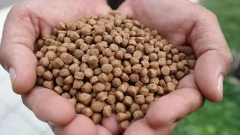 Los 10 mejores sacos de pellets para comprar online