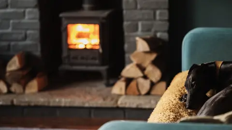 Análisis mejores estufas leña 2022: preguntas, precios y opiniones
