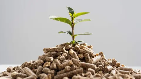 Las 5 opciones más económicas para comprar sacos de pellets en Leroy Merlín
