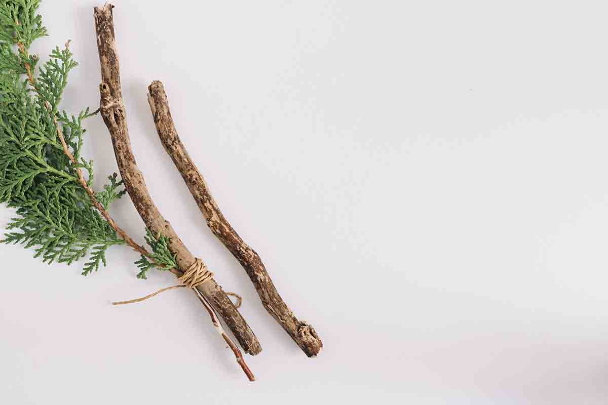 ramitas madera cedro estufas de leña freepik